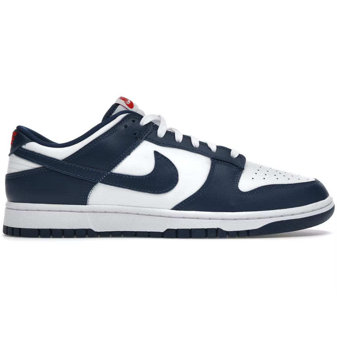 Nike Dunk Low Valerian Blue